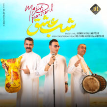 آهنگ جدید مجید پورشریف به نام شب عشق